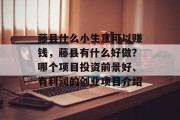 藤县什么小生意可以赚钱，藤县有什么好做？哪个项目投资前景好、有利润的创业项目介绍