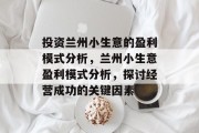 投资兰州小生意的盈利模式分析，兰州小生意盈利模式分析，探讨经营成功的关键因素