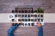 农村小生意之盈利分析，农村创业盈利模式解析，如何选择和运营合适的农村小生意