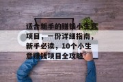 适合新手的赚钱小生意项目，一份详细指南，新手必读，10个小生意赚钱项目全攻略