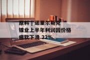 原料 | 诺里尔斯克镍业上半年利润因价格疲软下滑 22%