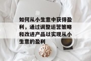 如何从小生意中获得盈利，通过调整运营策略和改进产品以实现从小生意的盈利