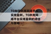 TG如何利用网络平台实现盈利，TG利用网络平台实现盈利的途径与策略