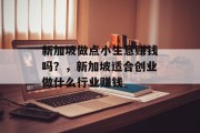 新加坡做点小生意赚钱吗？，新加坡适合创业做什么行业赚钱