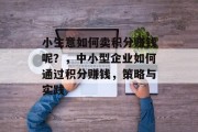 小生意如何卖积分赚钱呢？，中小型企业如何通过积分赚钱，策略与实践