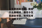 小生意创业之路，做些什么最赚钱，最佳小生意创业项目，如何实现盈利最大化?