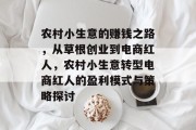 农村小生意的赚钱之路，从草根创业到电商红人，农村小生意转型电商红人的盈利模式与策略探讨