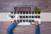 什么小生意成本低又赚钱？，低成本创业项目，小生意如何盈利