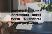 田地如何赚钱，多元化农业经营策略，田地赚钱之道，多元化农业经营策略的探索与实践