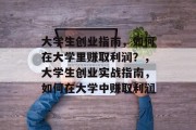大学生创业指南，如何在大学里赚取利润？，大学生创业实战指南，如何在大学中赚取利润