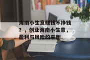 海南小生意赚钱不挣钱？，创业海南小生意，盈利与风险的平衡