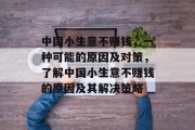中国小生意不赚钱，一种可能的原因及对策，了解中国小生意不赚钱的原因及其解决策略