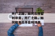 开厂之路，如何选择盈利项目，开厂之路，如何精准选择盈利项目