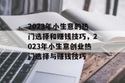 2023年小生意的热门选择和赚钱技巧，2023年小生意创业热门选择与赚钱技巧
