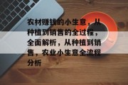 农材赚钱的小生意，从种植到销售的全过程，全面解析，从种植到销售，农业小生意全流程分析