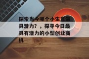 探索当今哪个小生意最具潜力？，探寻今日最具有潜力的小型创业商机