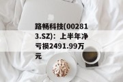 路畅科技(002813.SZ)：上半年净亏损2491.99万元