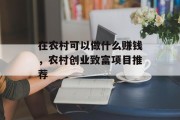 在农村可以做什么赚钱，农村创业致富项目推荐