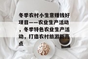 冬季农村小生意赚钱好项目——农业生产活动，冬季特色农业生产活动，打造农村旅游新亮点