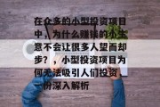 在众多的小型投资项目中，为什么赚钱的小生意不会让很多人望而却步？，小型投资项目为何无法吸引人们投资，一份深入解析