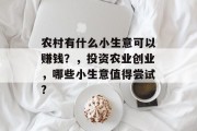 农村有什么小生意可以赚钱？，投资农业创业，哪些小生意值得尝试?