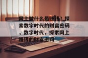 网上做什么最赚钱？探索数字时代的财富密码，数字时代，探索网上赚钱的财富密码