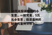 10万元投资赚钱的小生意，一探究竟，5万元小生意，投资盈利的秘密与案例分析