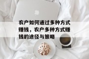 农户如何通过多种方式赚钱，农户多种方式赚钱的途径与策略