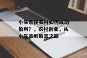 小生意在农村如何成功盈利？，农村创业，从小生意到致富之路