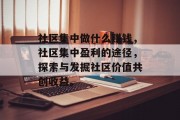 社区集中做什么赚钱，社区集中盈利的途径，探索与发掘社区价值共创收益。