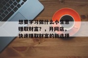 想要学习做什么小生意赚取财富？，开网店，快速赚取财富的新选择