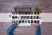 15个农村赚钱小生意推荐，农村致富之道，15个挣钱小生意推荐