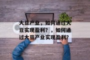 大豆产业，如何通过大豆实现盈利？，如何通过大豆产业实现盈利？