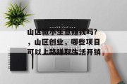 山区做小生意赚钱吗？，山区创业，哪些项目可以上路赚取生活开销