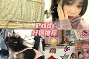 pdd拼多多网页版