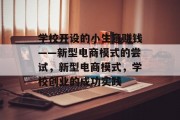 学校开设的小生意赚钱——新型电商模式的尝试，新型电商模式，学校创业的成功实践