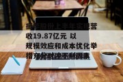 振华股份上半年实现营收19.87亿元 以规模效应和成本优化举措充分对冲不利因素