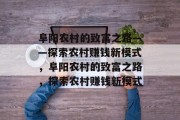 阜阳农村的致富之路——探索农村赚钱新模式，阜阳农村的致富之路，探索农村赚钱新模式