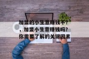 加盟的小生意赚钱不？，加盟小生意赚钱吗？你需要了解的关键因素