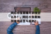 网红小生意赚不到钱怎么办？，网红小生意如何维持运营与盈利？