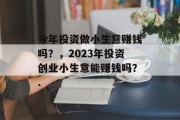 今年投资做小生意赚钱吗？，2023年投资创业小生意能赚钱吗？.