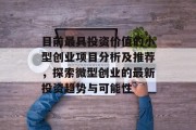 目前最具投资价值的小型创业项目分析及推荐，探索微型创业的最新投资趋势与可能性