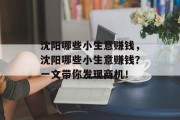 沈阳哪些小生意赚钱，沈阳哪些小生意赚钱？一文带你发现商机！