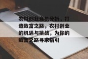 农村创业商机分析，打造致富之路，农村创业的机遇与挑战，为你的致富之路寻求指引