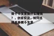 做个小生意做什么赚钱？，创业投资，如何选择并开展小生意