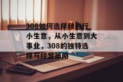 308如何选择和进行小生意，从小生意到大事业，308的独特选择与经营策略