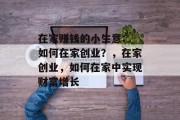 在家赚钱的小生意: 如何在家创业？，在家创业，如何在家中实现财富增长