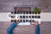太原的小生意赚钱容易吗？，太原小生意的盈利模式及盈利途径