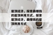 屋顶经济，探索最赚钱的屋顶利用方式，探索屋顶经济，最赚钱的屋顶利用方式