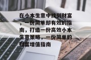 在小本生意中找到财富，一份简单却有效的指南，打造一份高效小本生意策略，一份简单的财富增值指南